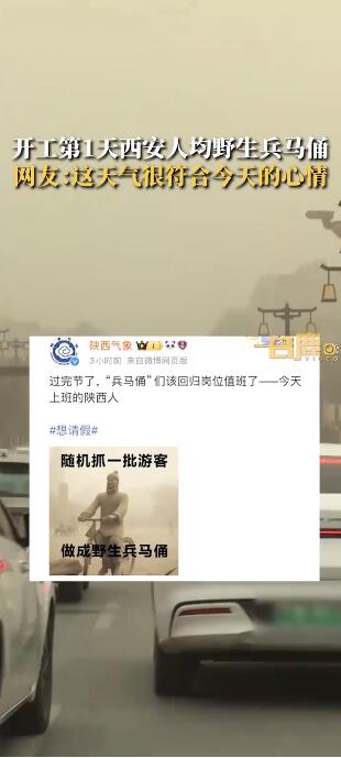 开工第1天西安人均野生兵马俑