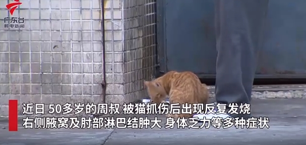 微信截图_20240320100901