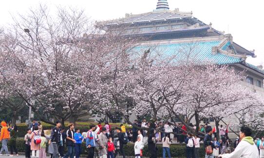 QQ截图20240320112836