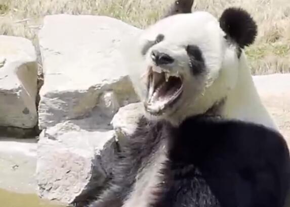 QQ截图20240321154227