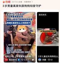 3岁男童走失狗狗在山上陪了一夜