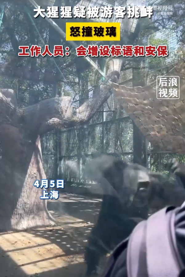 微信截图_20240407164316