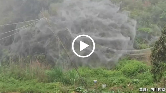 微信截图_20240416144430