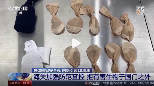 QQ截图20240417144549