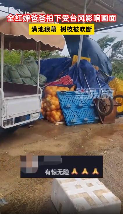 全红婵爸爸拍下受台风影响画面